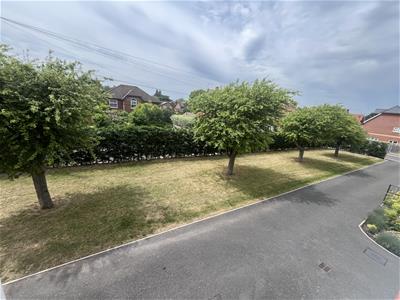 Picture 20